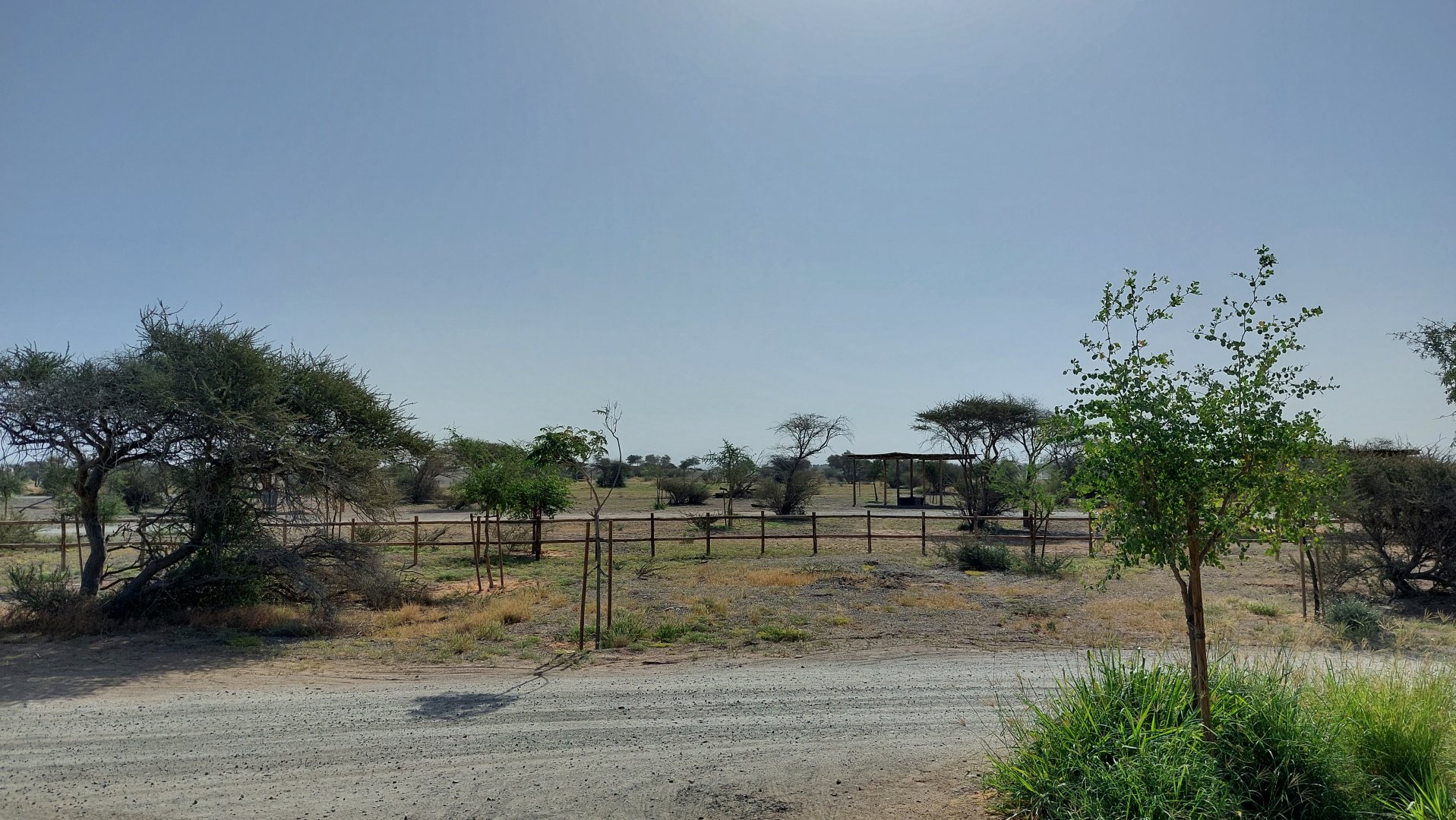 View at Sahel exhibit from Base Camp