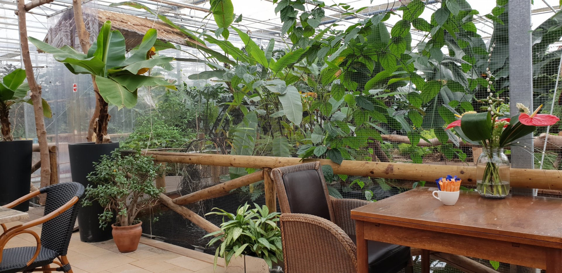 View at the Butterfly-hall from the restaurant