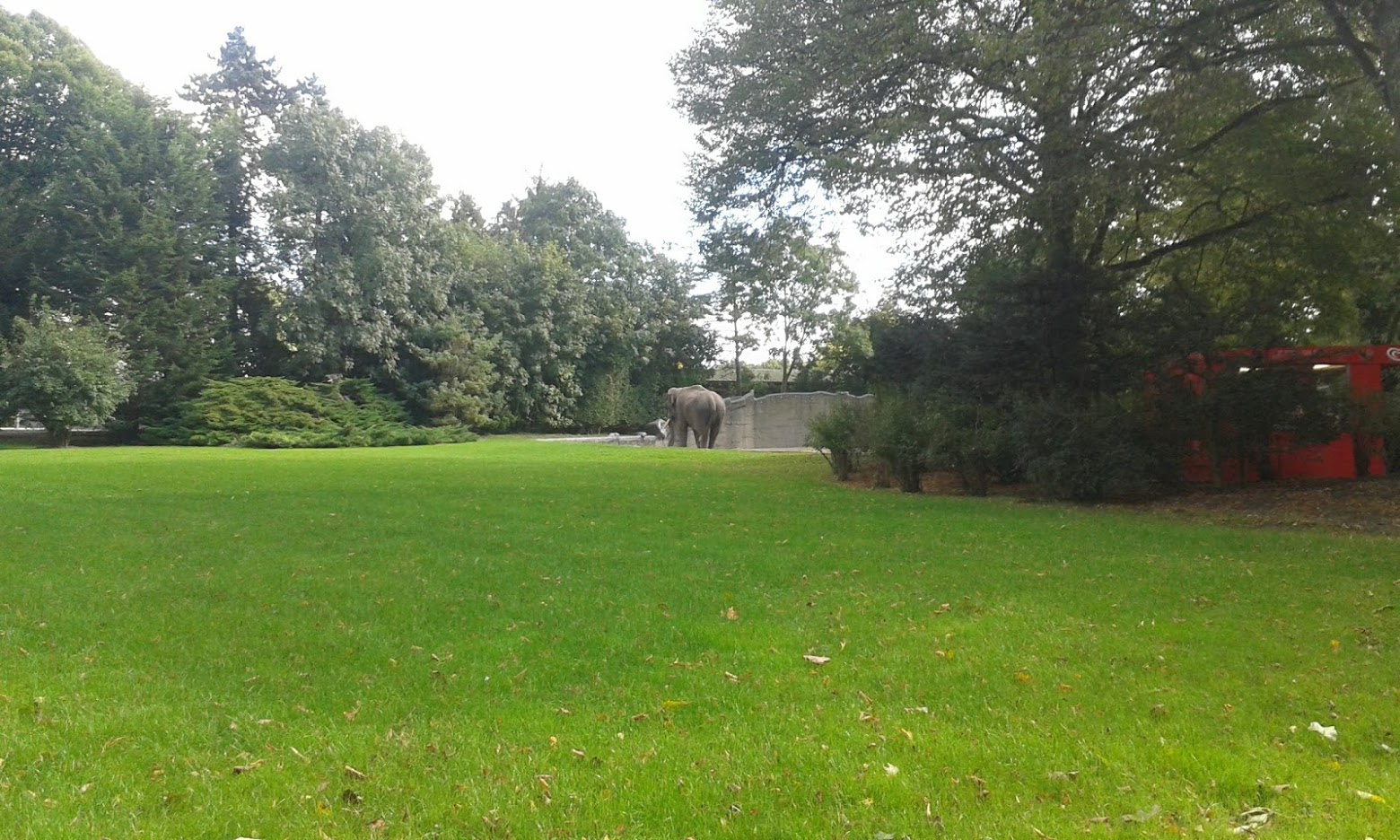 View at the male elephant enclosure