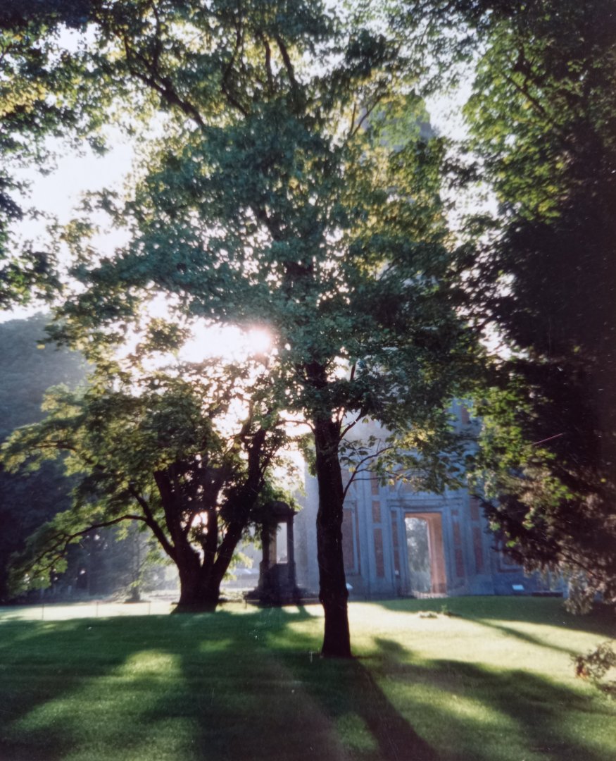 View at the old tower