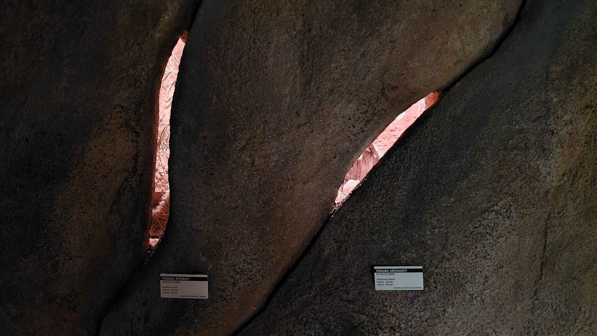 View at the small rodent exhibits