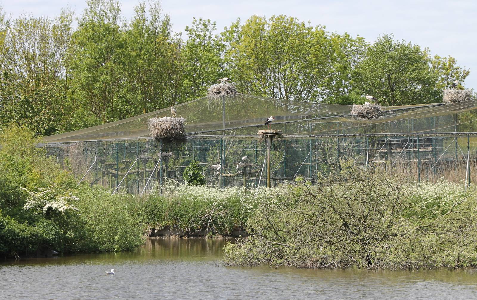 View at Walk-through aviaries