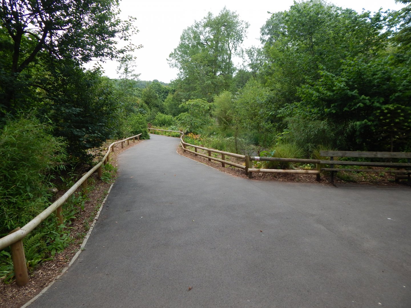 View back from Sumatran tiger exhibit 130624