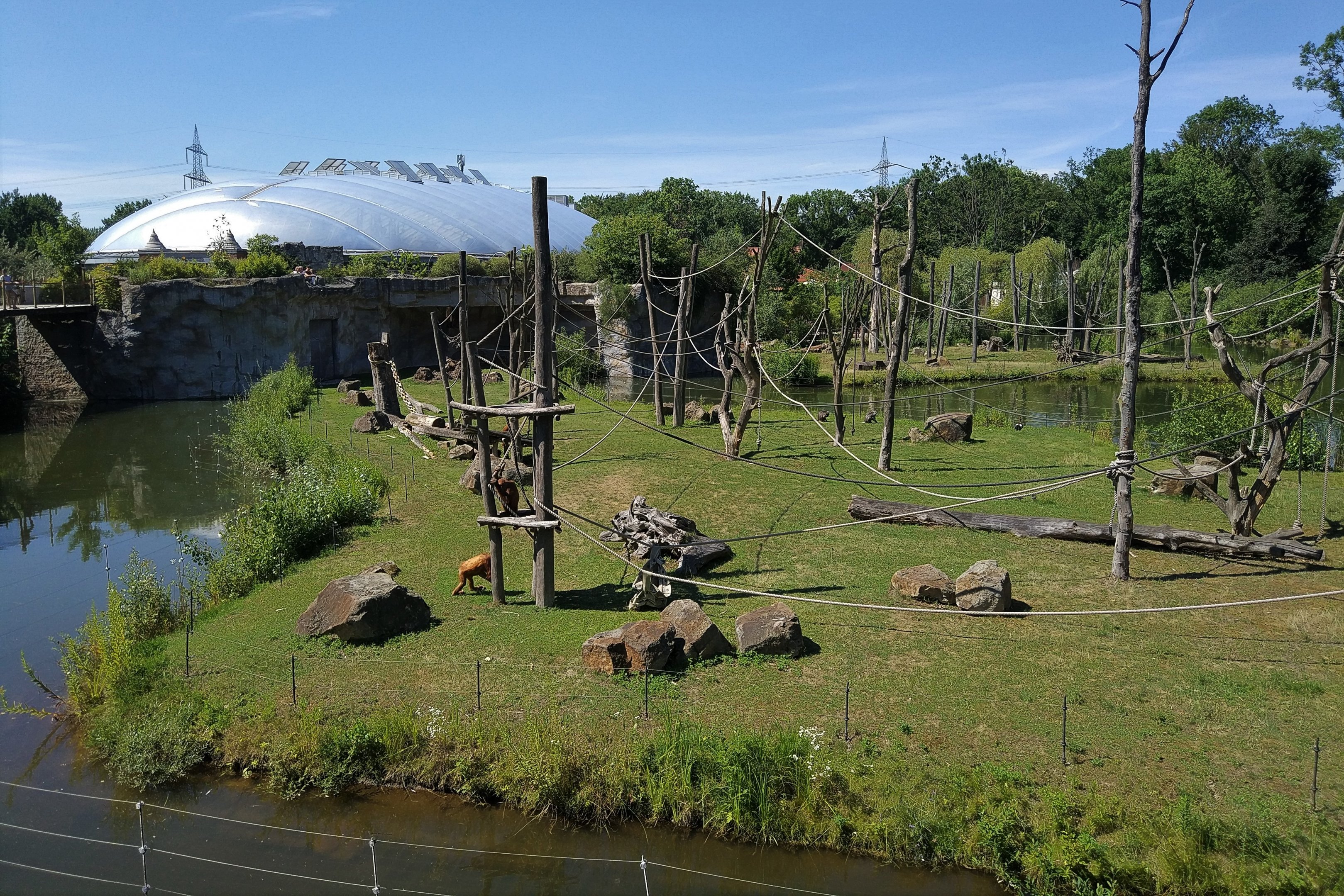 View back to Rainforest Building over Orangutan/Langur Island