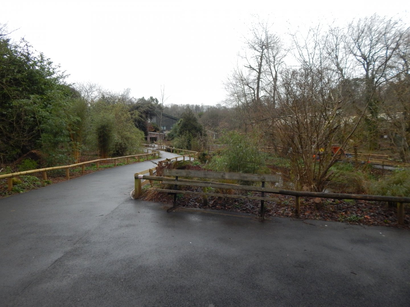 View back towards entrance from Sumatran tiger enclosure 050224