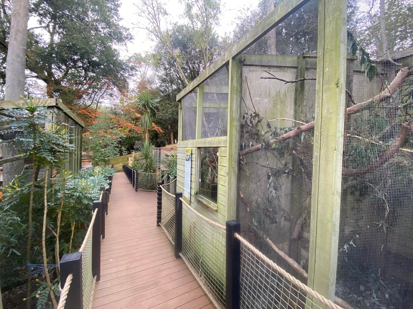 View back towards Meerkats and lovebirds 111222