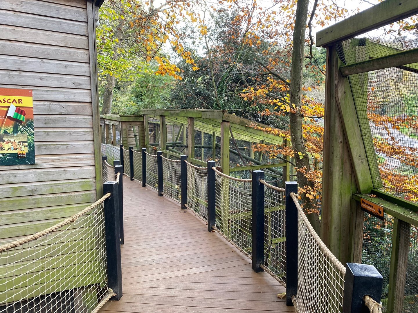 View back towards Red titi enclosure 111222