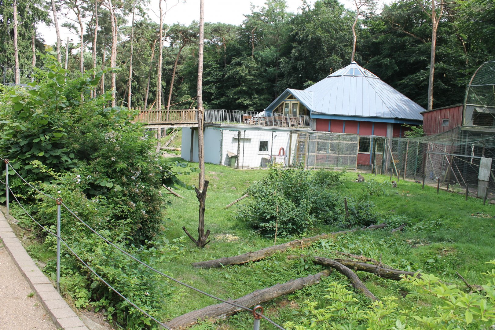 View Barbary Monkey - walk-through and Monkey-house