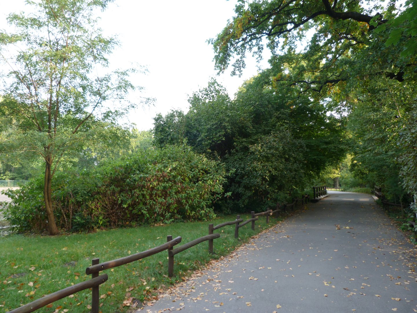 View behind bison paddock -Tierpark Berlin (2024)
