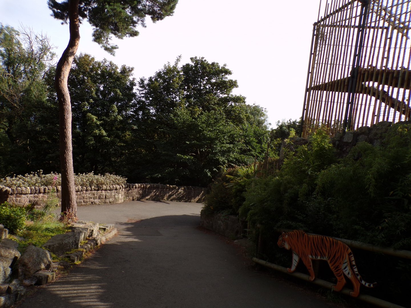View coming down from the older tiger enclosure 14.8.23