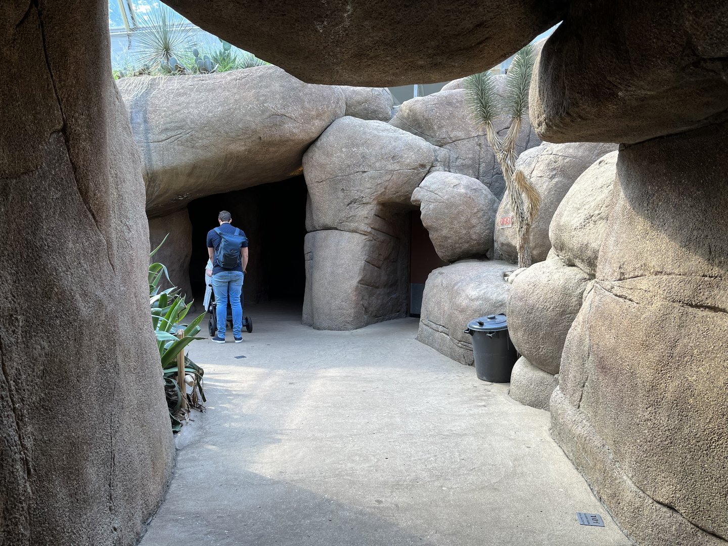 View coming into the Desert 6.7.23