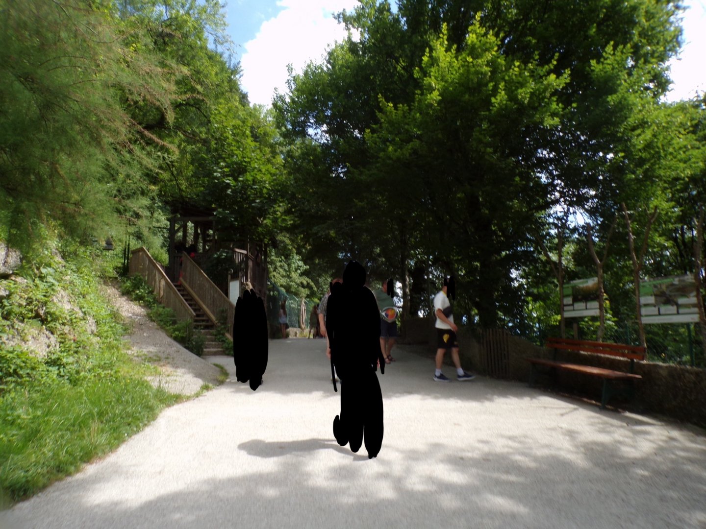 View coming up to the wolf enclosure 13.7.25