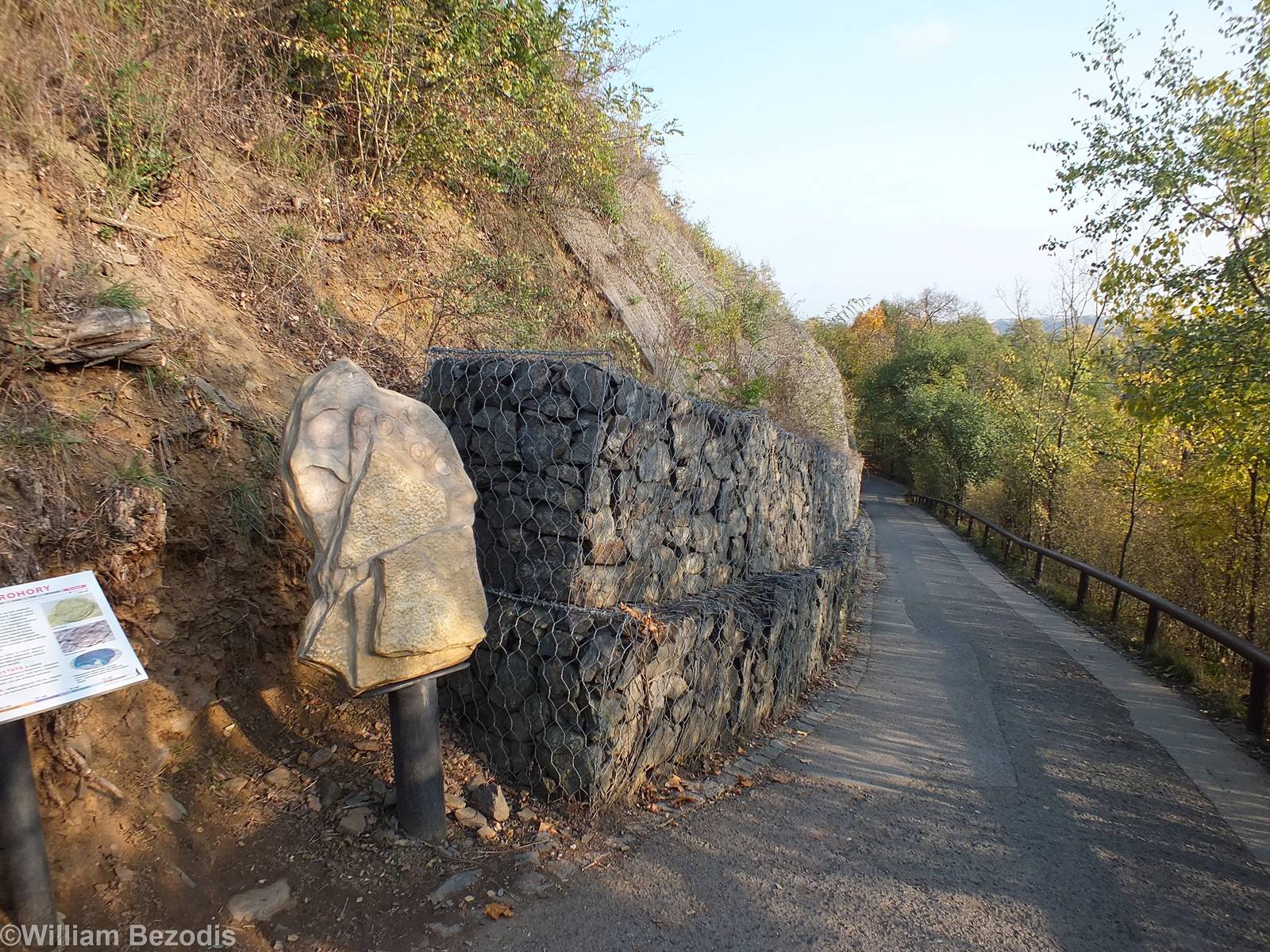 View down Geological Trail