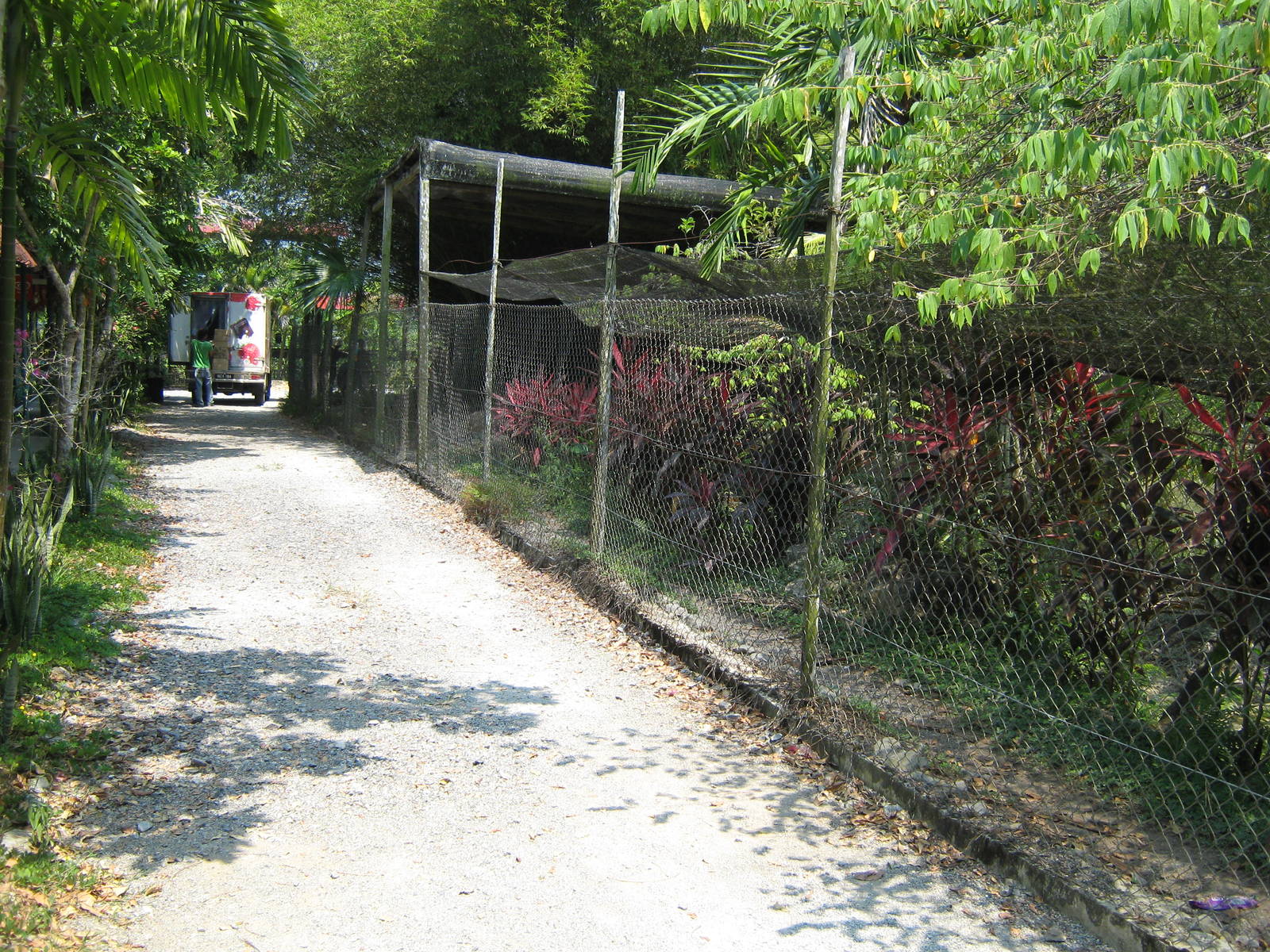 view down length of cassowary enclosure