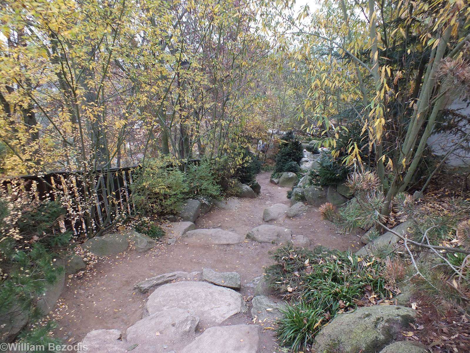 View Down Path to the Czech Fish Area
