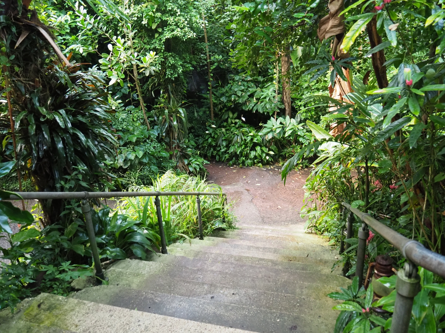 View down stairs in Bush (Sep 16th, 2018)