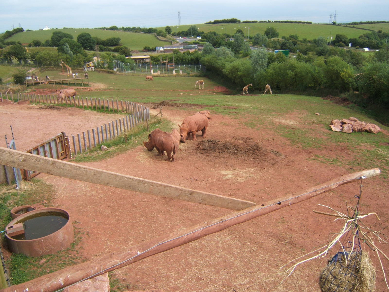 View down the African Savannah Paddock