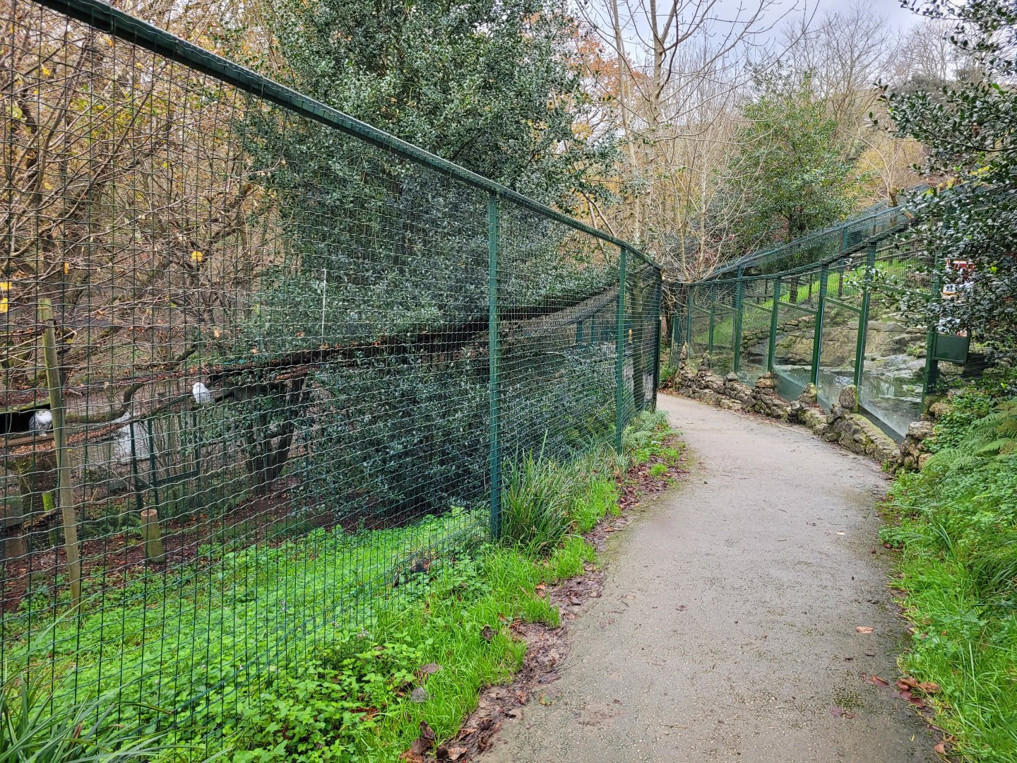 View down the owl exhibits -Zoo de Santillana del Mar (2023)