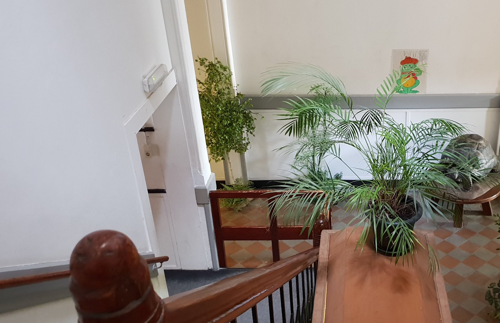 View down the stairs