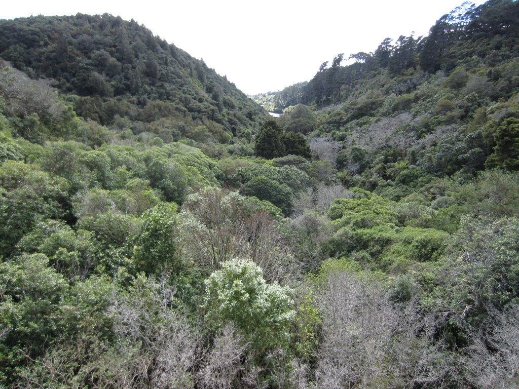 View down the valley from the Dam