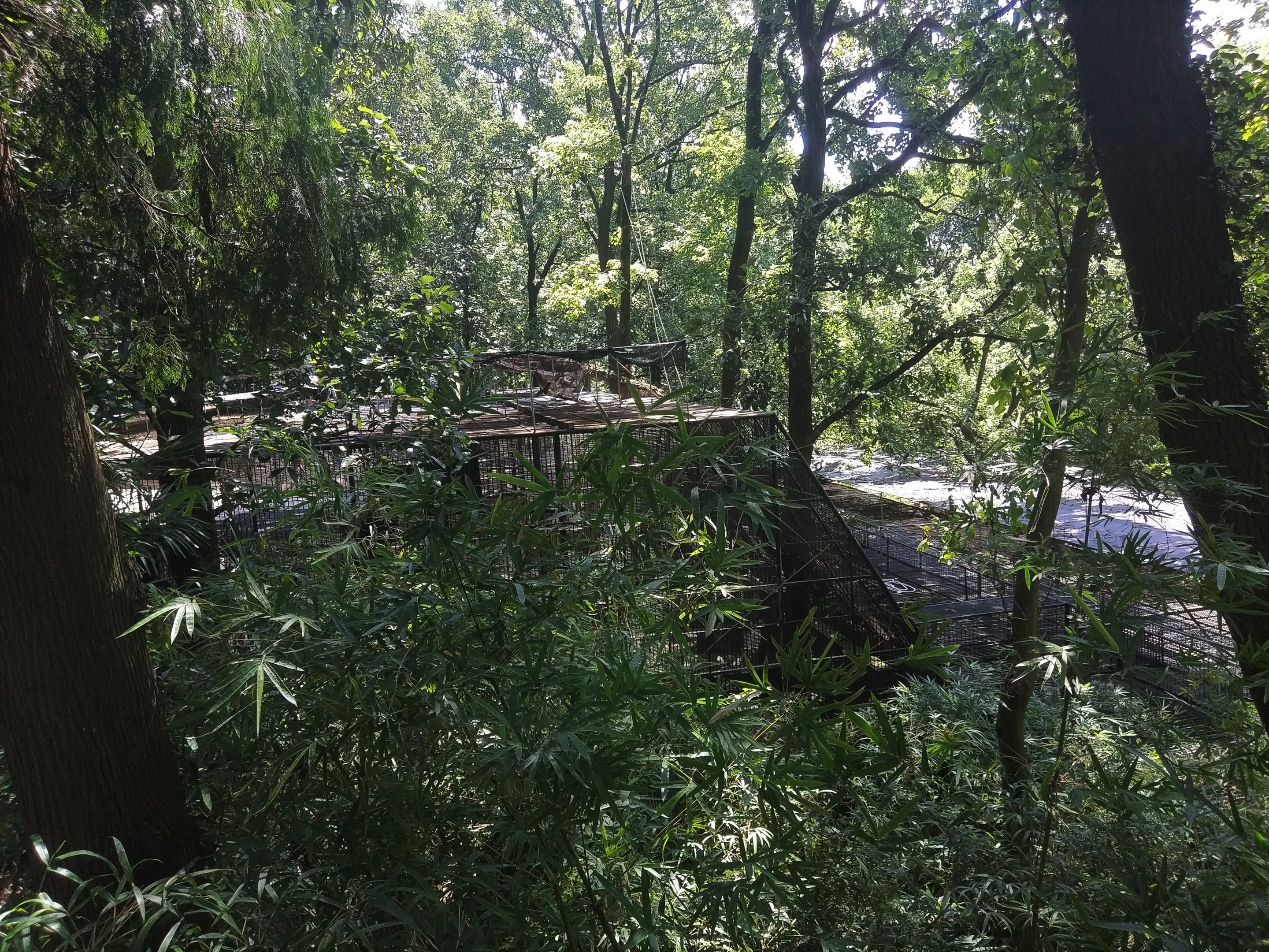 View down towards Primate Cages