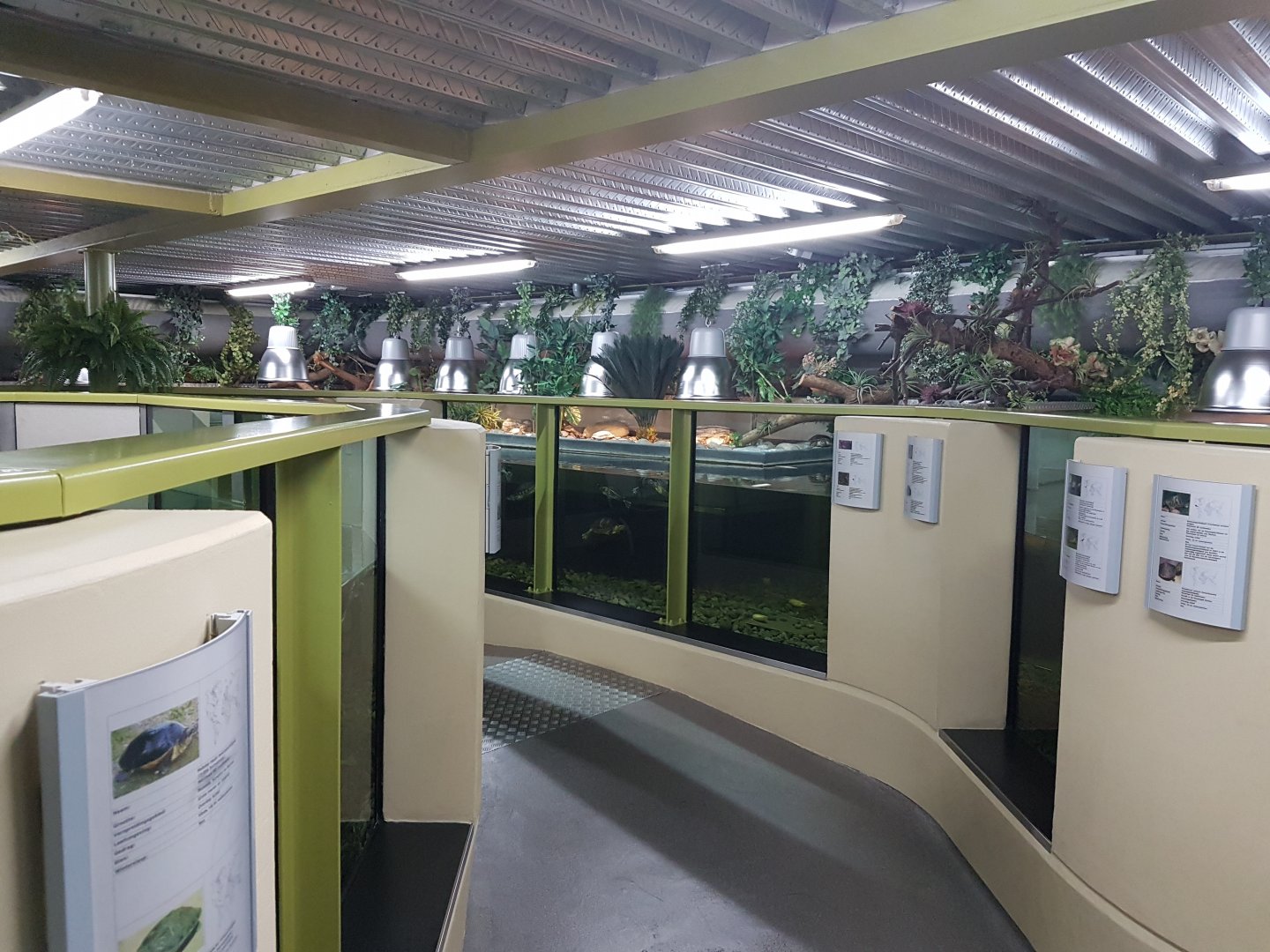 View enclosures ground-level