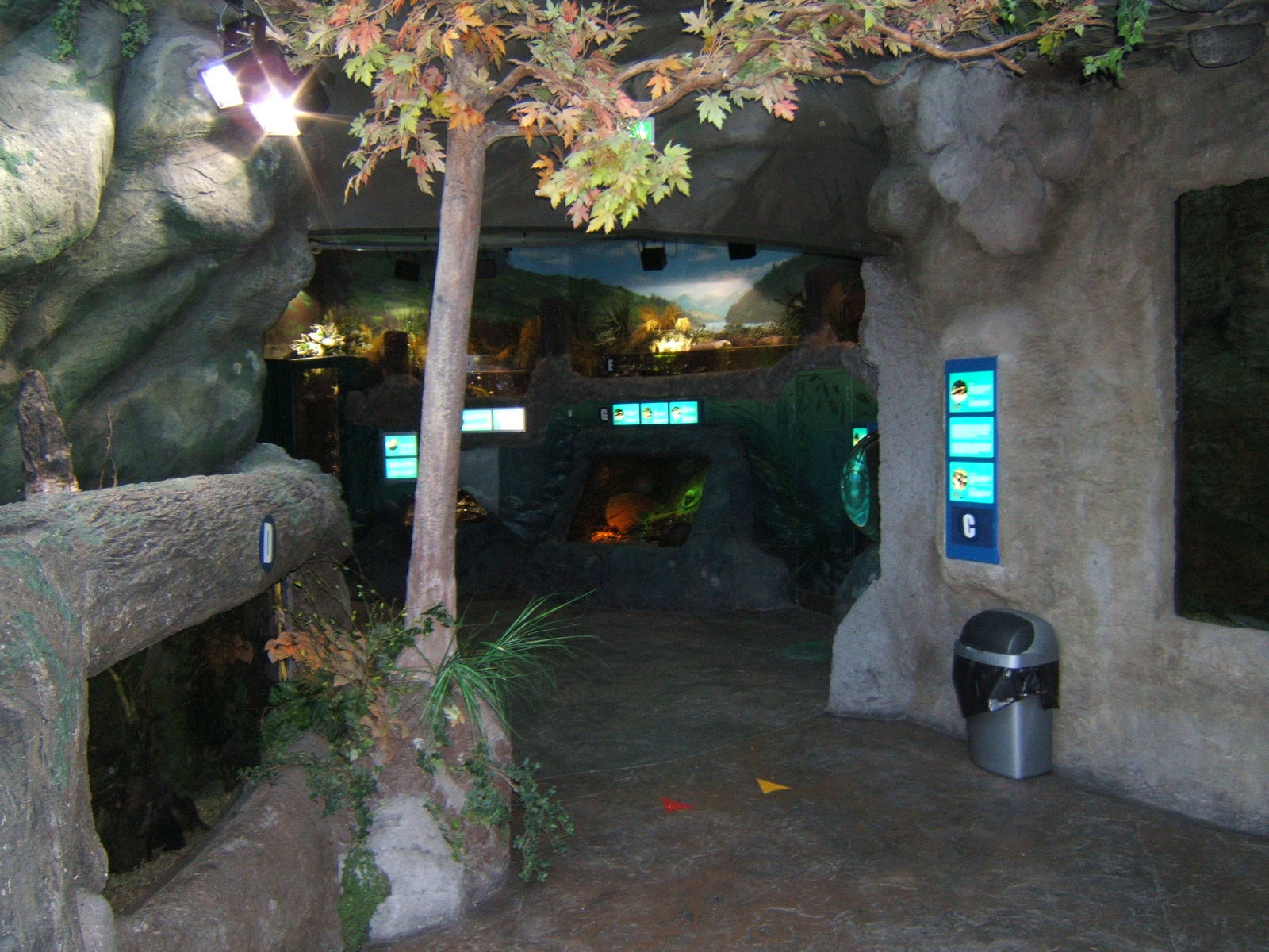 View first few tanks