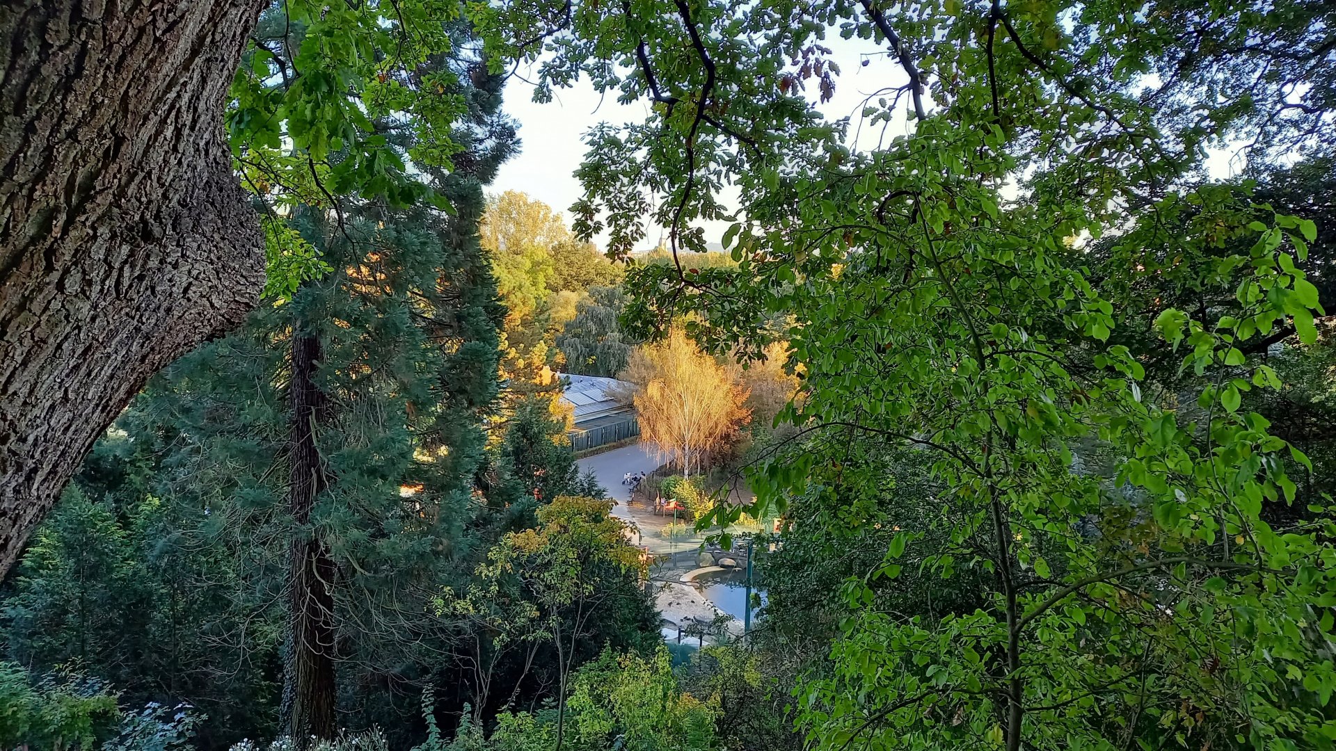 View from above into the park