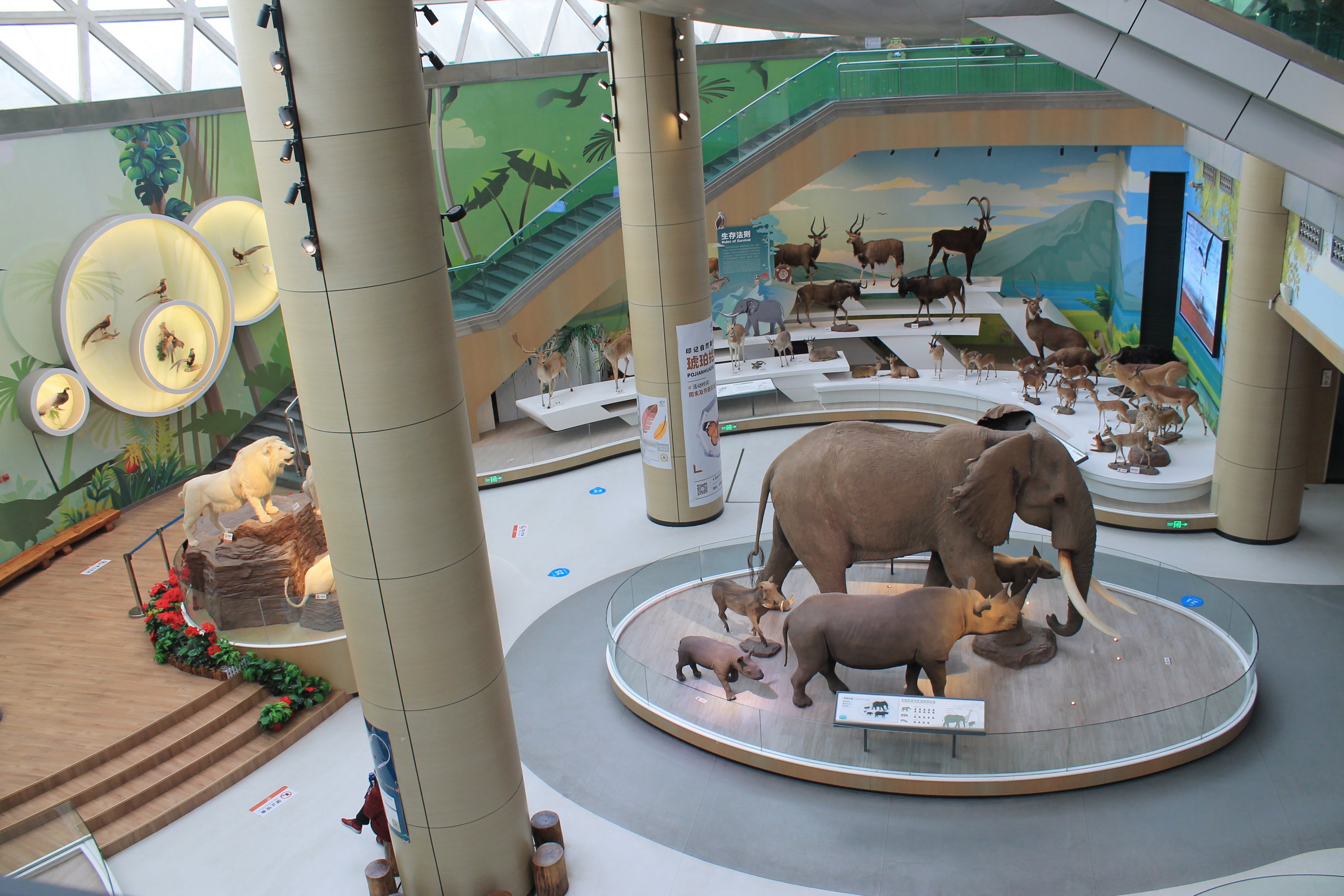 View from above - Shaanxi Nature Museum