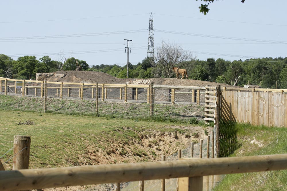 View from African Plains