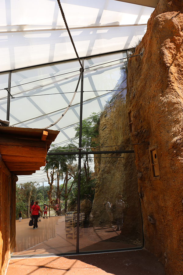 View from aviary into giraffe and rhino house
