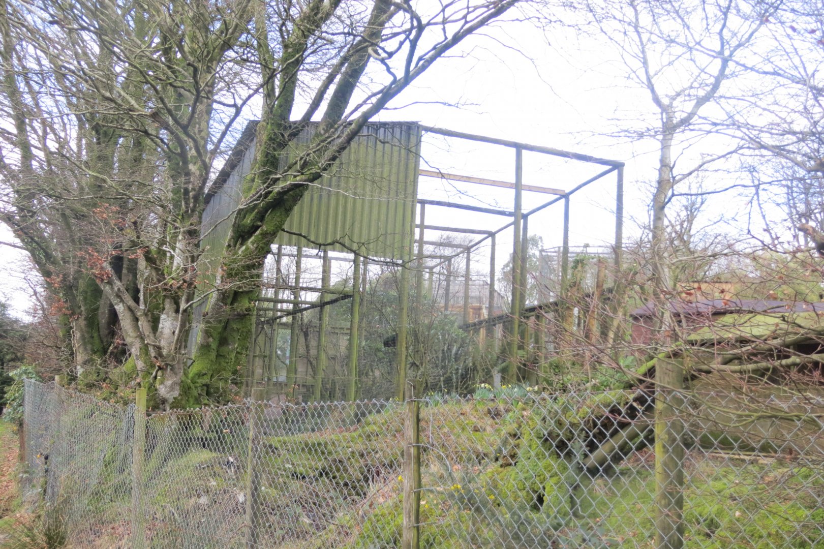 View from behind Lar gibbon enclosure 040319
