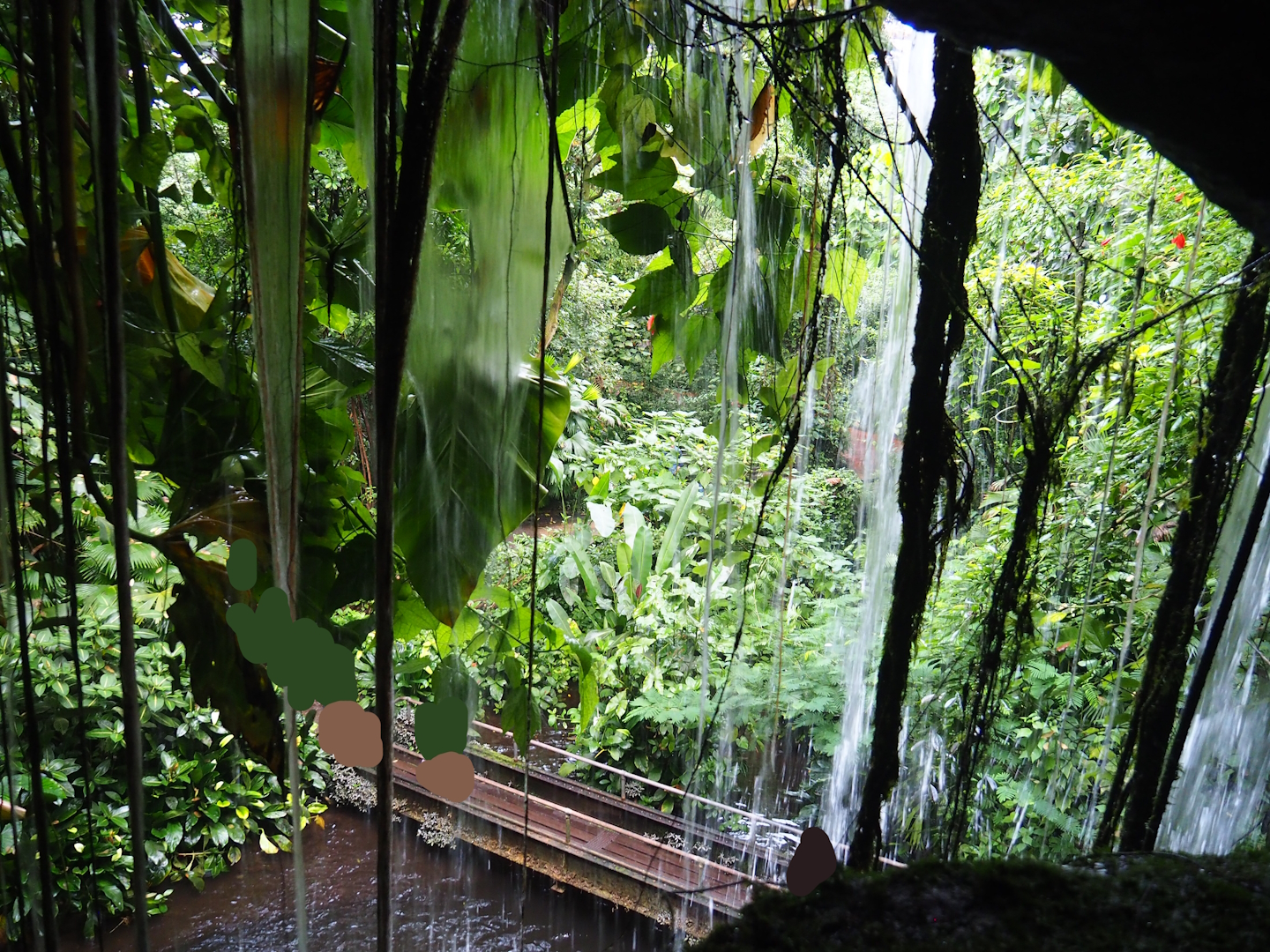 View from behind the large watefall in the Bush, 2023-10-07