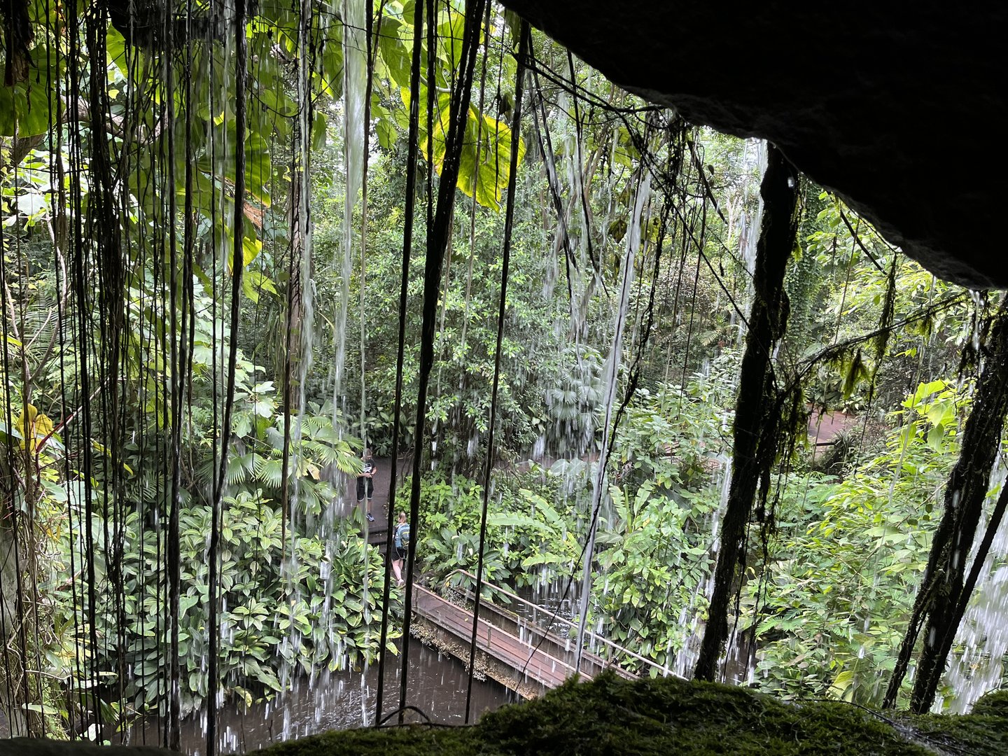 View from behind waterfall 6.7.23