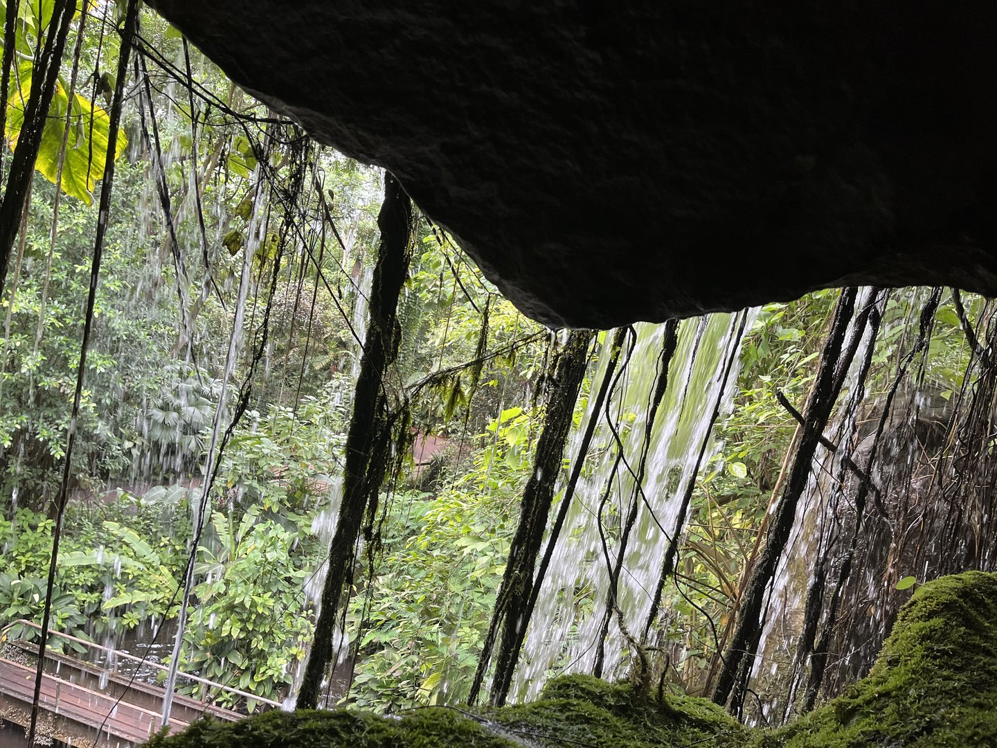 View from behind waterfall  6.7.23