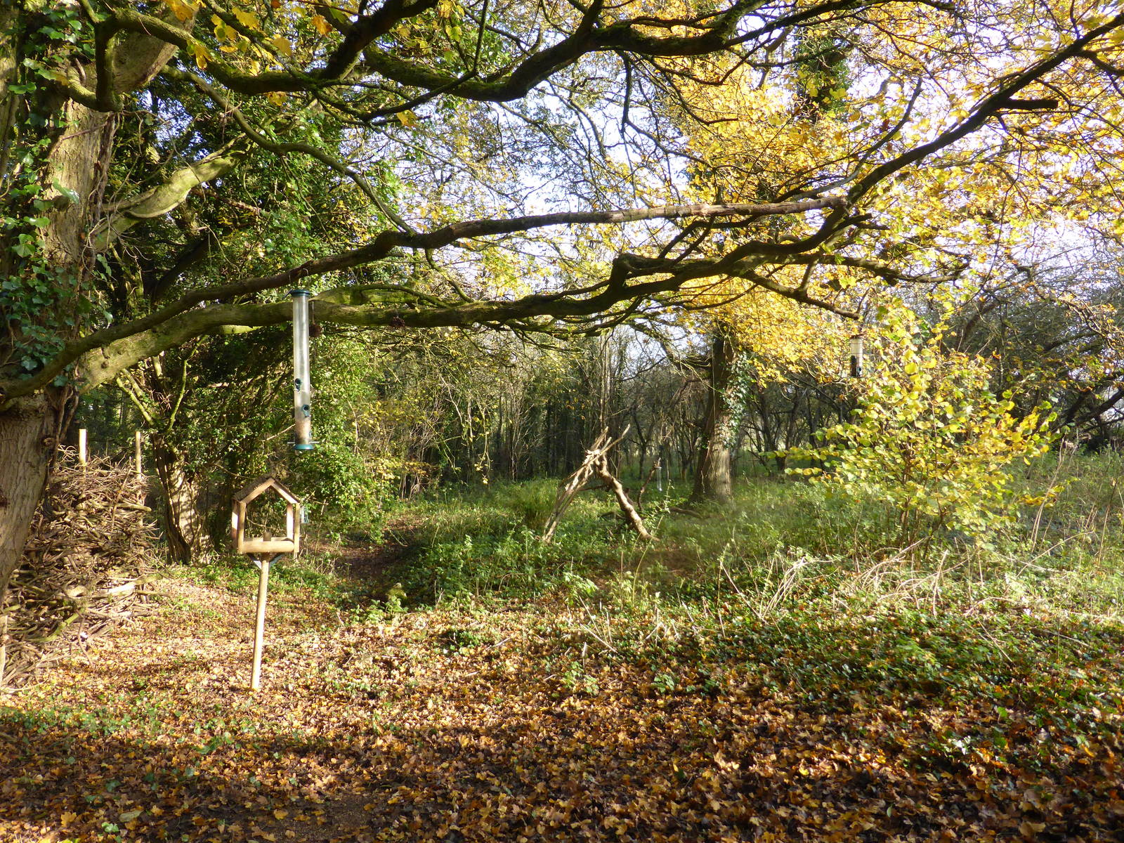 View from Bird Hide
