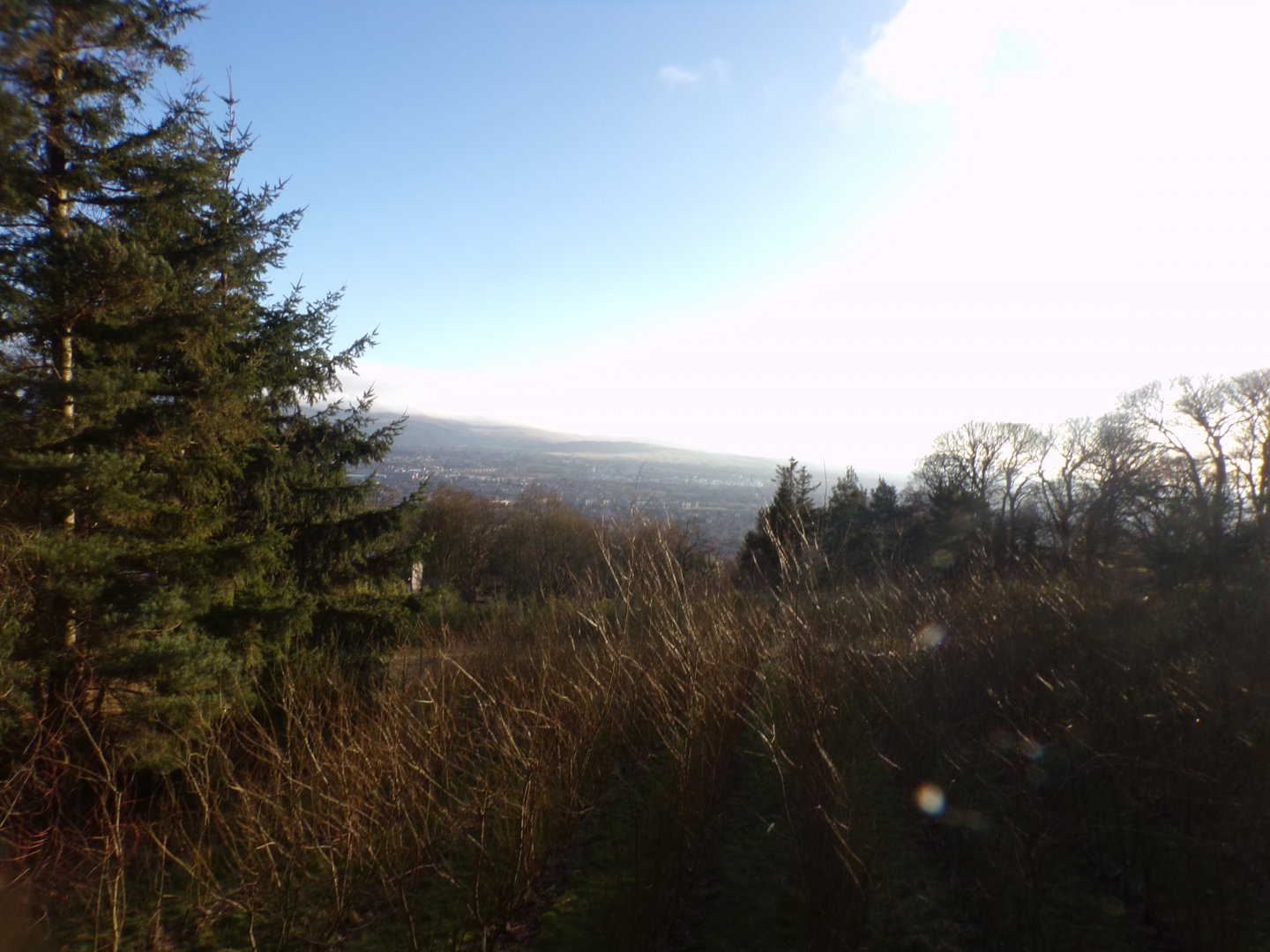 View from boardwalk 1.3.25
