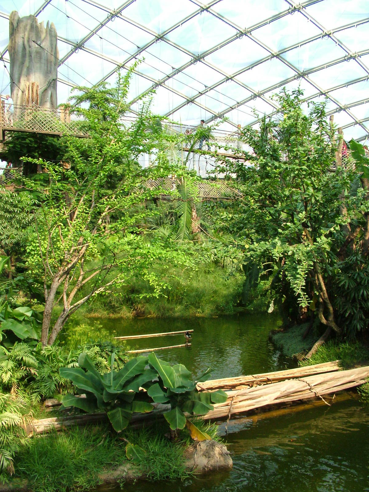 View from Boat Ride - Gondwanaland, Leipzig, 02/09/11