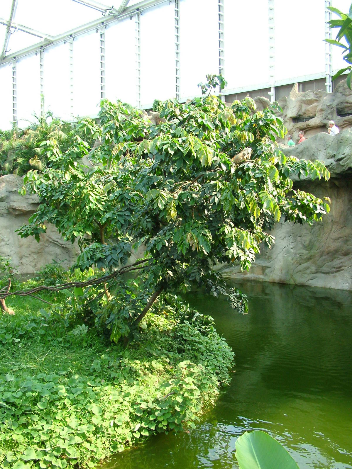 View from Boat Ride - Gondwanaland, Leipzig, 02/09/11