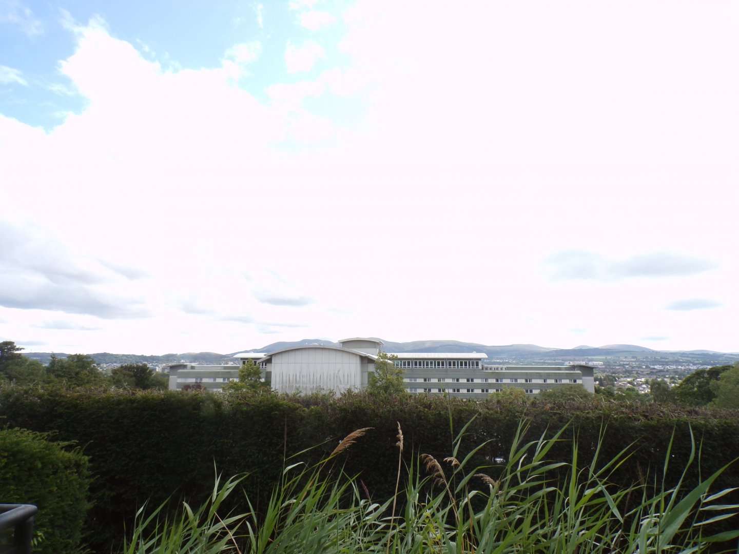 View from bottom of Budongo Trail 18.7.25