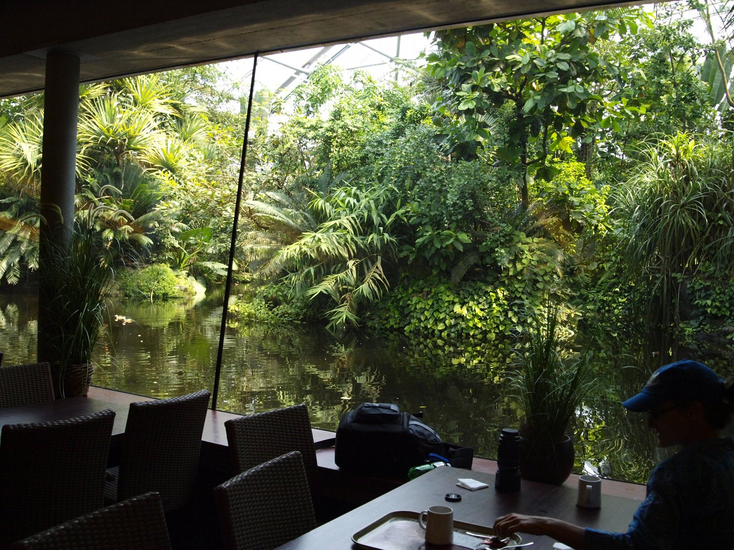 View from cafe in the Masoala hall