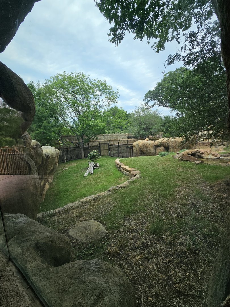 View from cave again