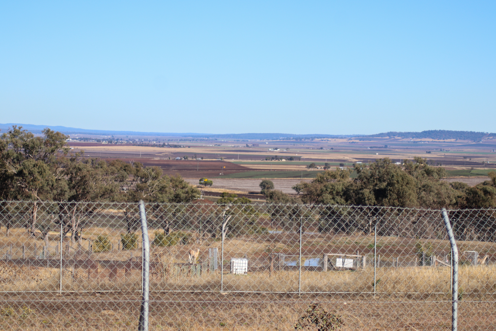 View from Cheetah Enclosure