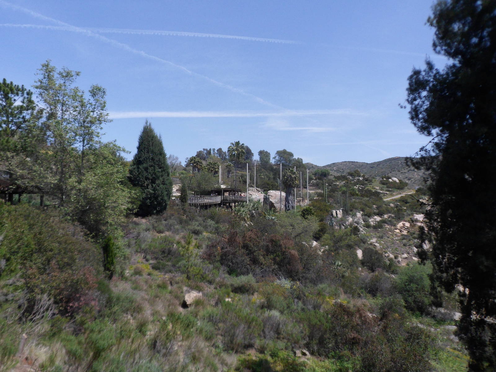 View from Condor Ridge