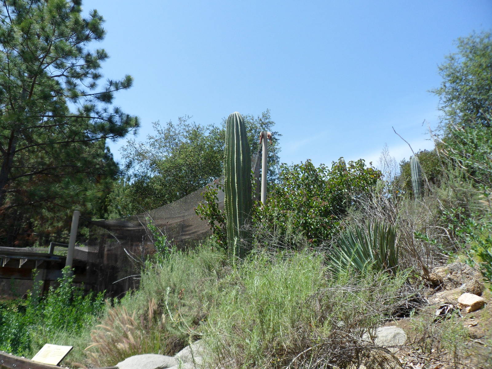 View from Condor Ridge