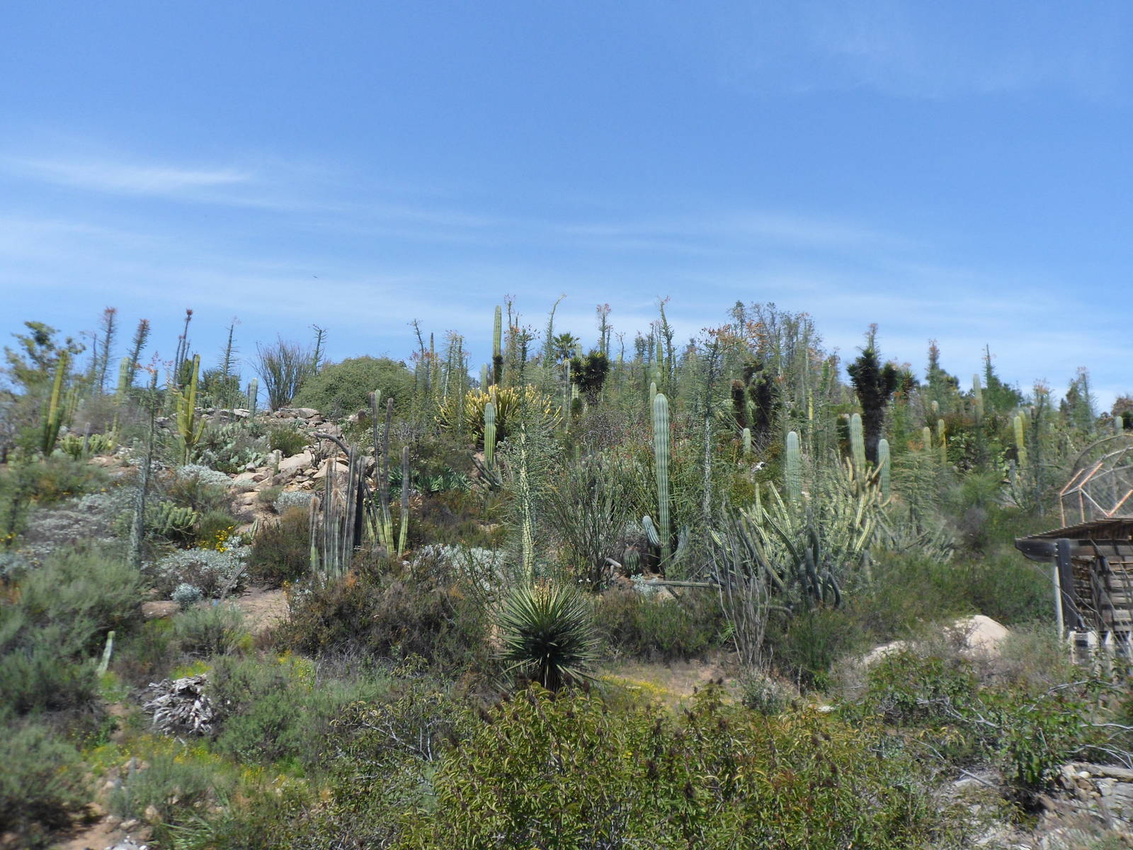 View from Condor Ridge