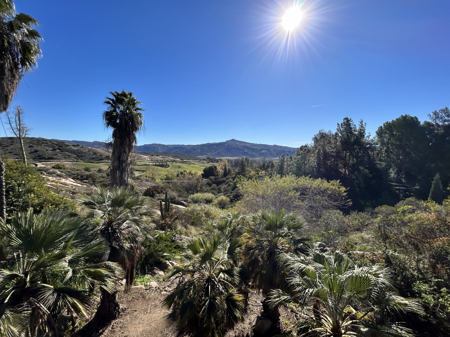 View from Condor Ridge