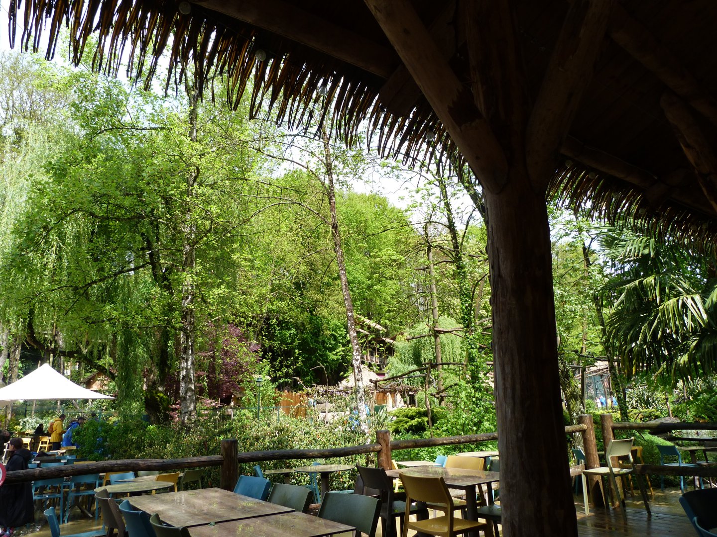 View from covered eating area by the capuchin island -ZooParc de Beauval (2025)