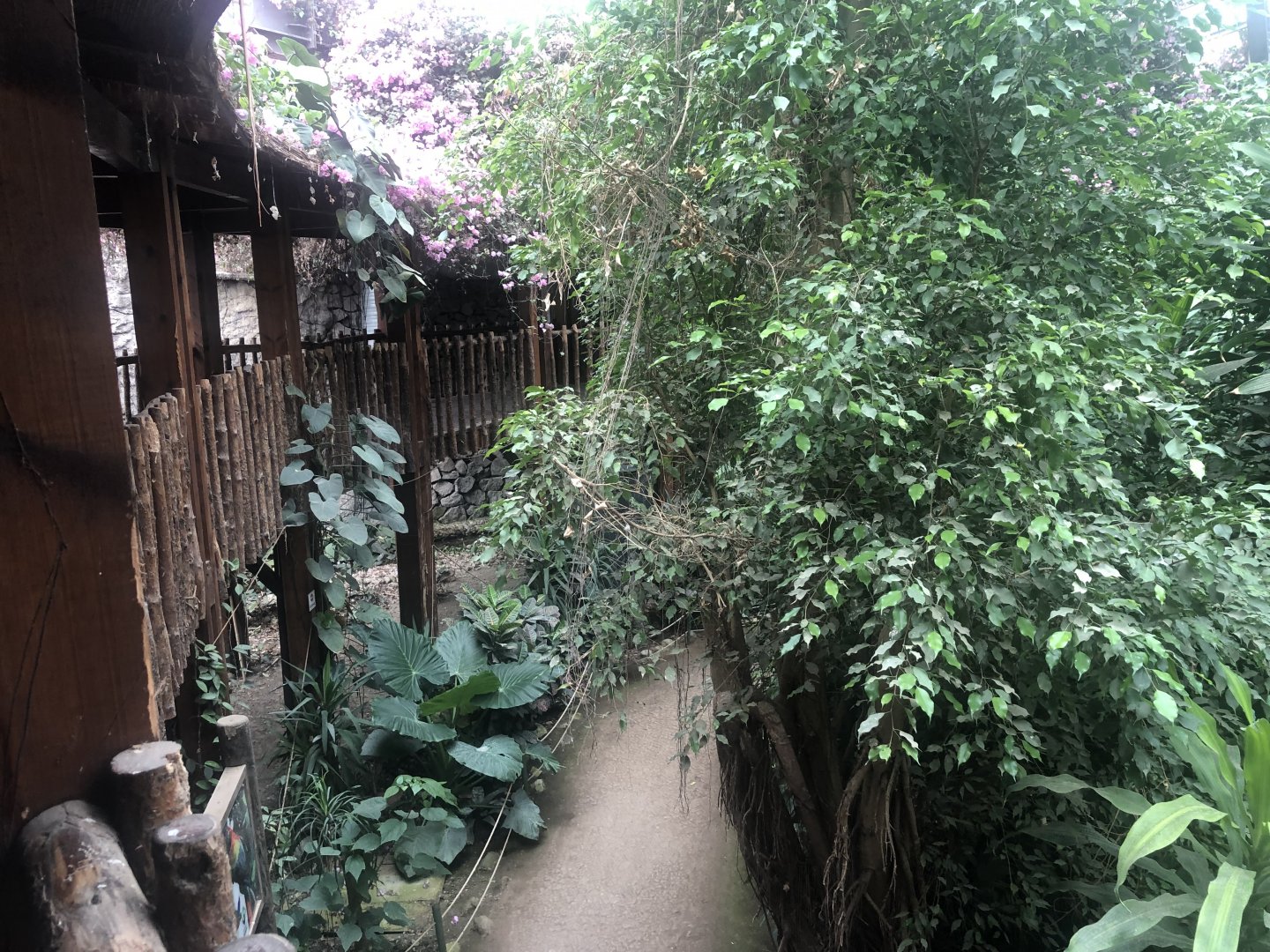 View from deck in the tropical hall