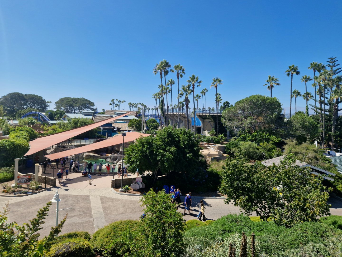 View from dolphin stadium